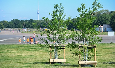 Baumpflanzung Tempelhofer Feld